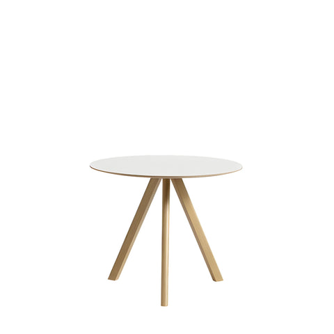 CPH 20 Round Table