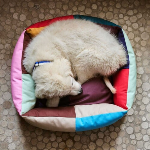 Dog Bed